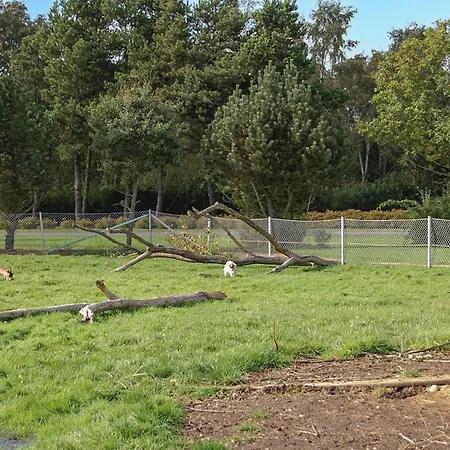 Dom wakacyjny Gorgeous In With Sauna